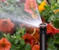 Preview: Hunter Pro HE Hochleistungsdüsen für Pro Spray und 1804