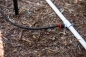 Preview: MP-STAKE-PRS40 Erdspieß für Hunter und Rain-Bird Düsen, Spieß mit Düsenanschluss und Schlauch mit 1/2" AG, MP Düsen, VAN, Typ: MP Stake PRS40